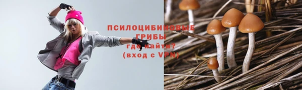 спиды Абдулино