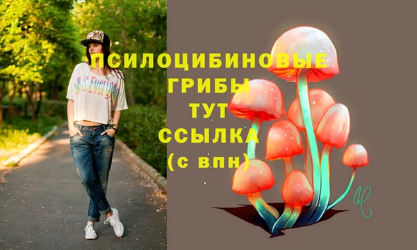 спиды Абдулино